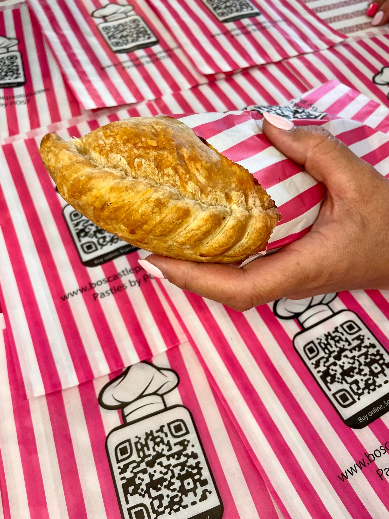 Oven Baked Pasties